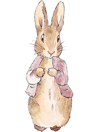 Collection Peter Rabbit