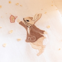 Pierre Lapin et le papillon