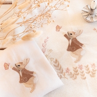 Pierre Lapin et le papillon