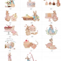 Peter Rabbit- A personnaliser