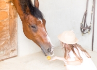 Un poney dans l'atelier de Lili Célestine