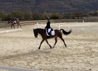 Concours Club 2 Grand Prix - Centre Hippique des Alpes