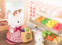 Résultats du concours d'automne des Sylvanian Families