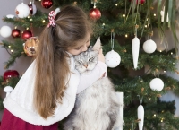 Pause de Noël pour l'atelier Lili Célestine