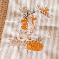 Pierre Lapin récolte les citrouilles