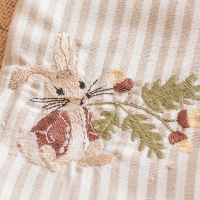 Pierre Lapin et les noisettes