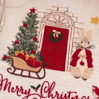 Pierre et la soirée de Noël