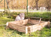 Préparation du jardin pour le printemps