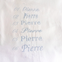 Célestine et le bouton de rose